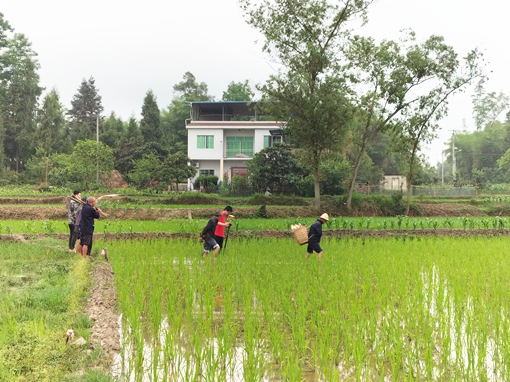 D:\叶正茂\Desktop\IMG20210512095500_副本.jpg D:\叶正茂\Desktop\IMG20210512095500_副本.jpg