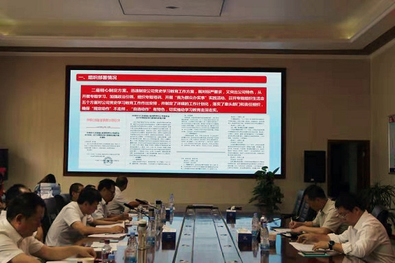 何刚董事长赴仁沐公司督导党史学习教育暨汛期安全环保工作2.jpg