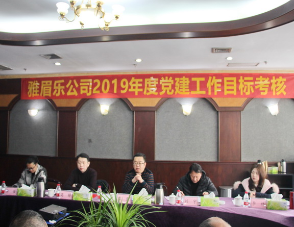 党建检查2副本.jpg 党建检查2副本.jpg