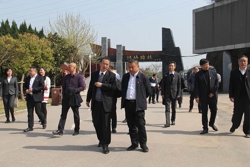 IMG_3627.JPG IMG_3627.JPG