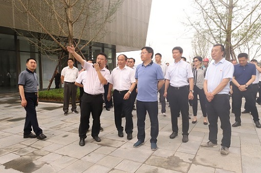 IMG_3899.JPG IMG_3899.JPG