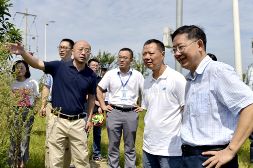 _DSC6881_副本.jpg _DSC6881_副本.jpg