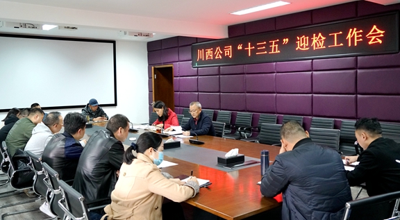 20201029川西公司召开“十三五”迎检工作会_副本.jpg 20201029川西公司召开“十三五”迎检工作会_副本.jpg