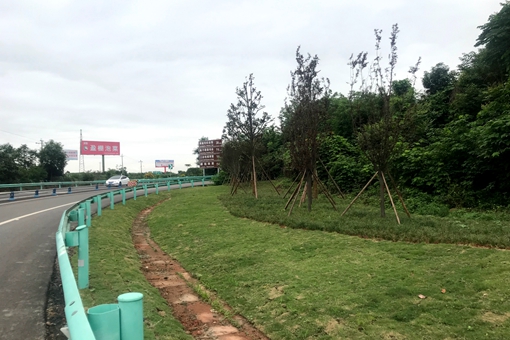 QQ图片20190624112158_副本.jpg QQ图片20190624112158_副本.jpg