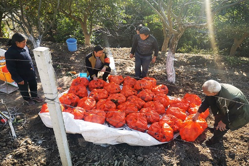 用2 - 副本.jpg 用2 - 副本.jpg