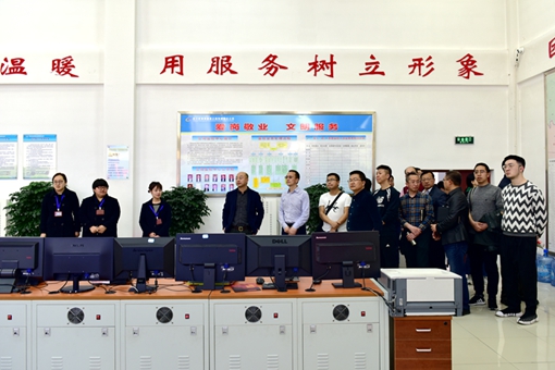 DSC_4939_510.jpg DSC_4939_510.jpg