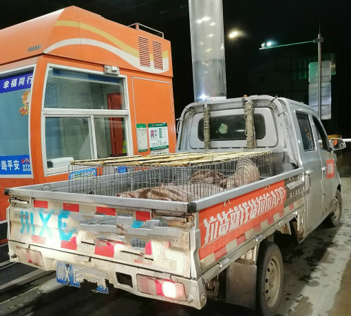 图片3_副本.png 图片3_副本.png