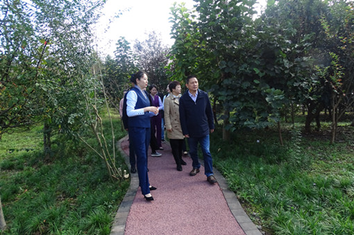 DSC00853_副本1.jpg DSC00853_副本1.jpg