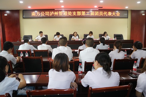 南方公司泸州管理处团支部第二次团员代表大会圆满召开照片1.JPG 南方公司泸州管理处团支部第二次团员代表大会圆满召开照片1.JPG