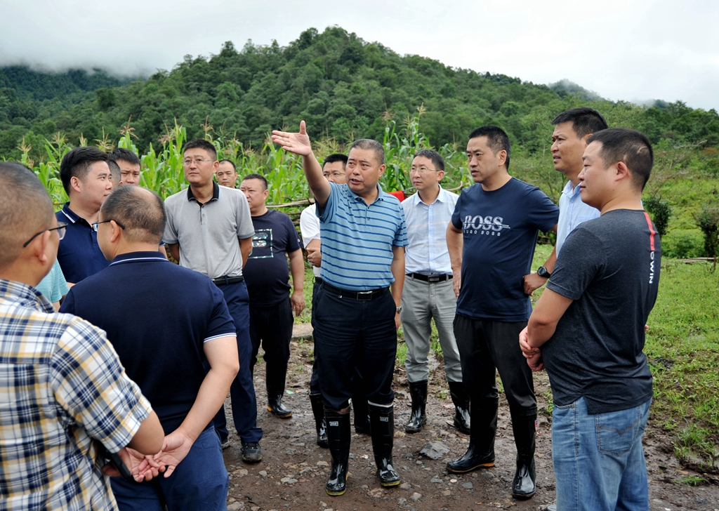 5_副本.jpg 5_副本.jpg