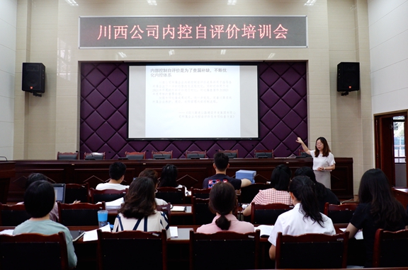 20200729川西公司召开内控自评价培训会 (2)_副本.jpg 20200729川西公司召开内控自评价培训会 (2)_副本.jpg