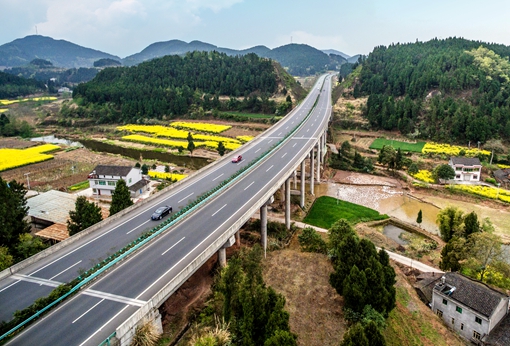 随机4_副本.jpg 随机4_副本.jpg