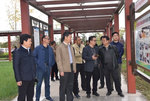 DSC_6516.JPG DSC_6516.JPG