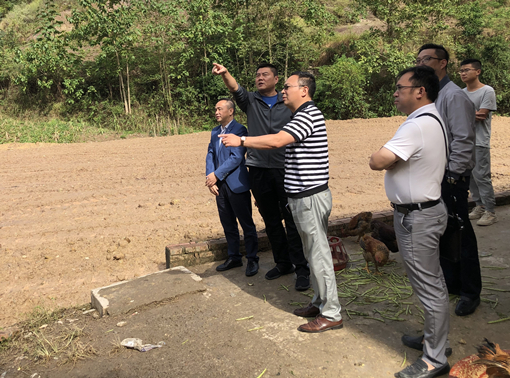 IMG_20200923_164440_副本.jpg IMG_20200923_164440_副本.jpg