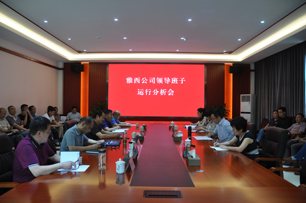 6.12+雅西公司召开领导班子运行分析会(600).jpg 6.12+雅西公司召开领导班子运行分析会(600).jpg