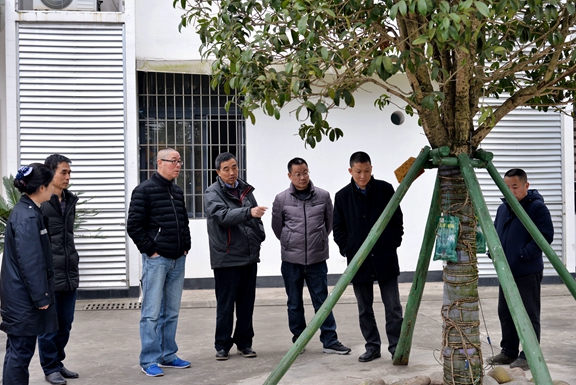 (公司新闻)20191230_公司领导班子调研基层站队.jpg (公司新闻)20191230_公司领导班子调研基层站队.jpg