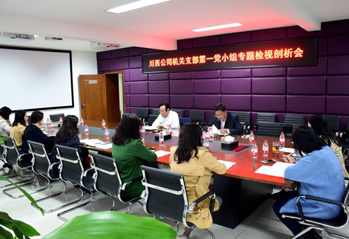 20191031川西公司组织开展“不忘初心、牢记使命”专题检视剖析会_副本.jpg 20191031川西公司组织开展“不忘初心、牢记使命”专题检视剖析会_副本.jpg