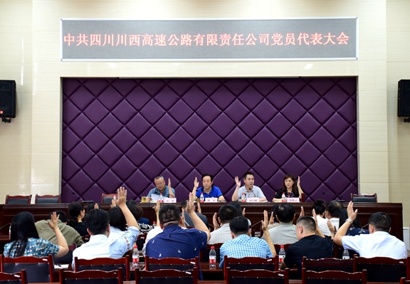 20200820川西公司召开党员代表大会 (2)_副本.jpg