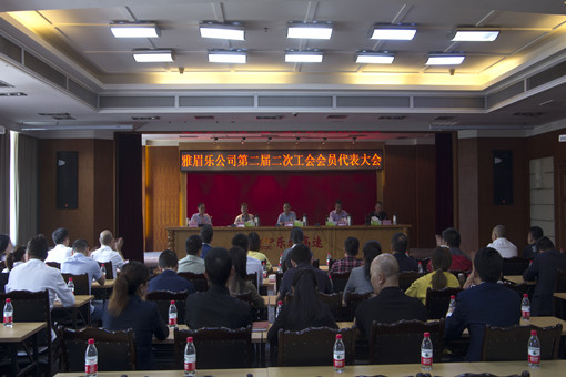 IMGP6552_副本.jpg IMGP6552_副本.jpg