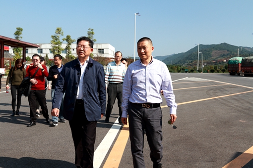 IMG_7104.JPG IMG_7104.JPG