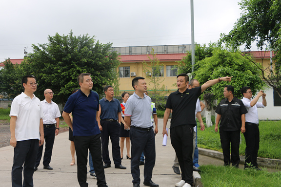 2-200Q3233115234.jpg 2-200Q3233115234.jpg