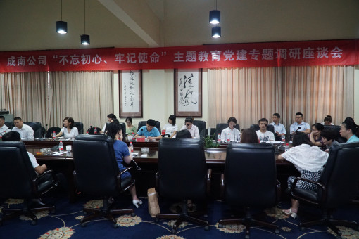 no197-成南公司组织召开“不忘初心,牢记使命”主题教育(吴易).JPG no197-成南公司组织召开“不忘初心,牢记使命”主题教育(吴易).JPG