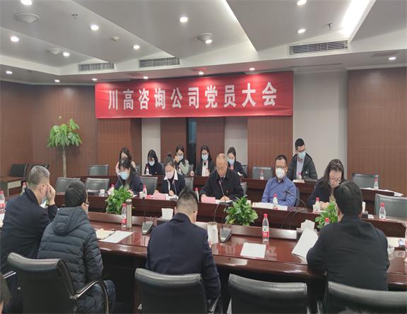 咨询公司召开党员大会暨支部委员会换届选举大会.jpg 咨询公司召开党员大会暨支部委员会换届选举大会.jpg