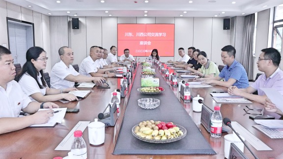 20200807川东公司赴川西公司参观交流学习_.jpg 20200807川东公司赴川西公司参观交流学习_.jpg