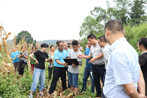 微信图片_20200820090723_副本.jpg 微信图片_20200820090723_副本.jpg