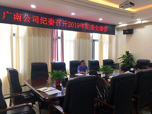 广南公司纪委召开2019年纪委全委会.JPG 广南公司纪委召开2019年纪委全委会.JPG