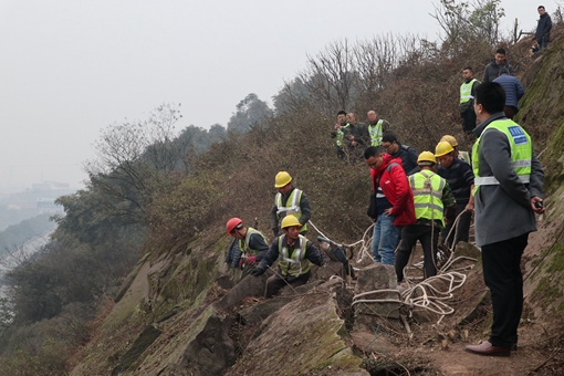 QQ图片20190128113718.jpg QQ图片20190128113718.jpg