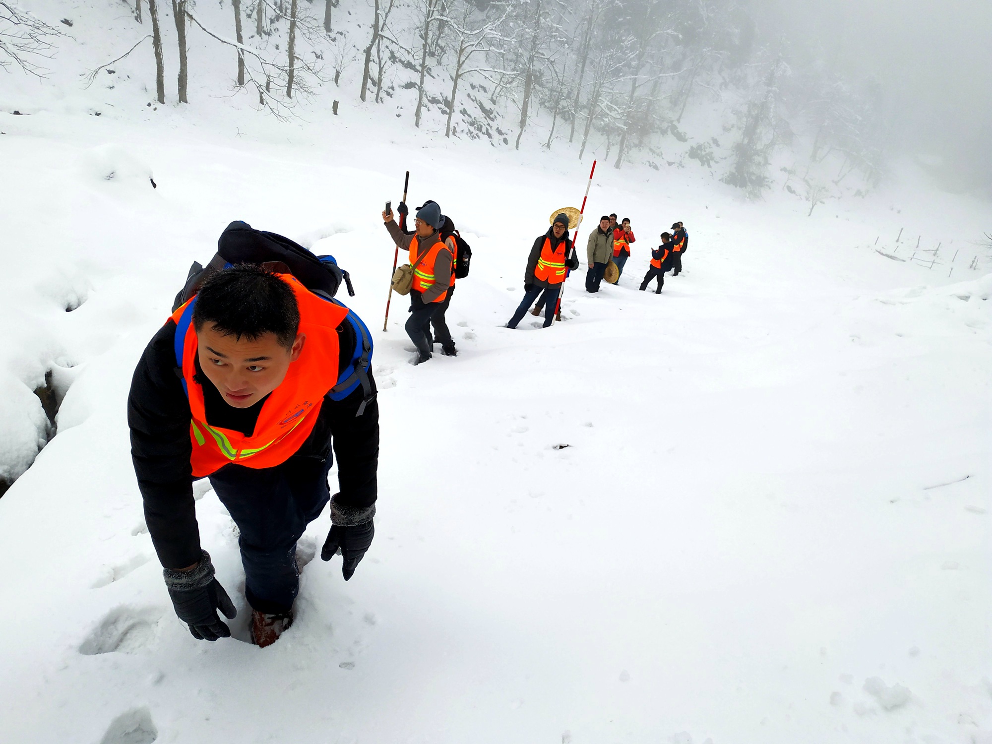 QQ图片20190107171827_副本.jpg QQ图片20190107171827_副本.jpg