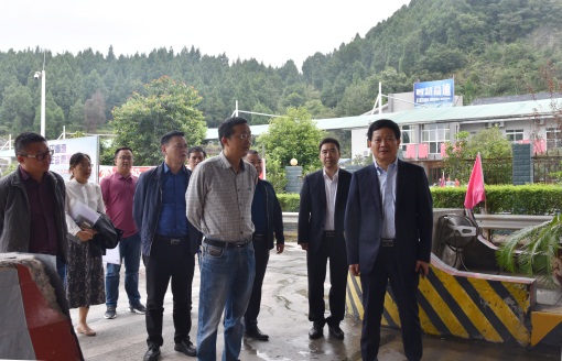 DSC_6249.JPG DSC_6249.JPG