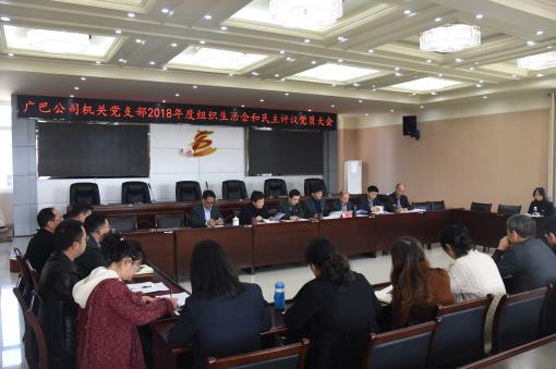 广巴公司机关党支部召开组织生活会和民主评议党员大会.jpg 广巴公司机关党支部召开组织生活会和民主评议党员大会.jpg