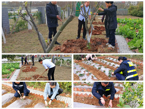 广南公司积极开展“3·12”植树节爱绿护绿主题活动2.jpg 广南公司积极开展“3·12”植树节爱绿护绿主题活动2.jpg