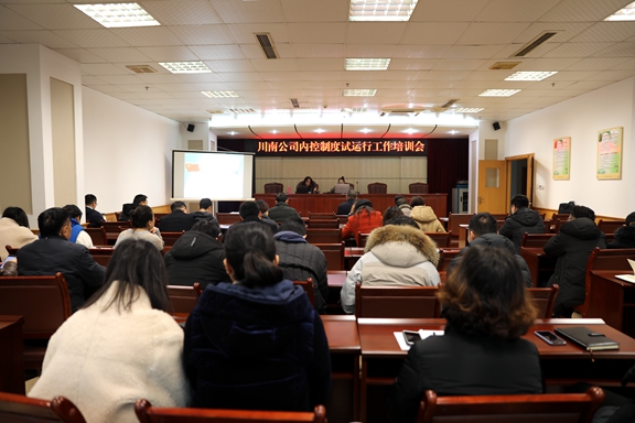 公司召开内控制度试运行工作培训会.JPG 公司召开内控制度试运行工作培训会.JPG