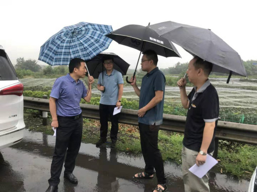 no199-省交投集团经营管理部一行到成南公司开展取消省界收费站专项工程督导工作(徐妈).jpg no199-省交投集团经营管理部一行到成南公司开展取消省界收费站专项工程督导工作(徐妈).jpg