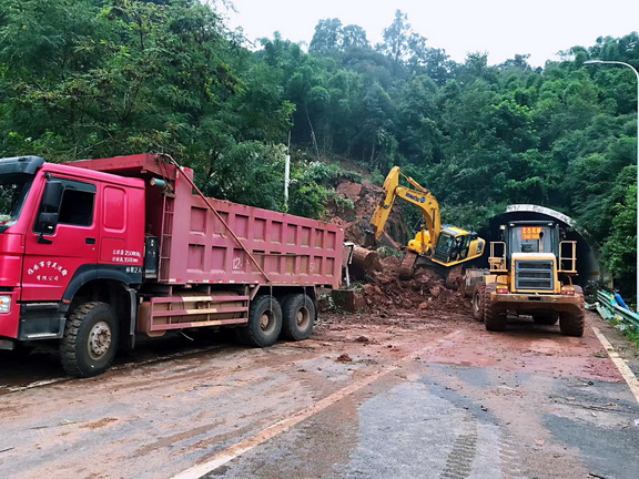 2020年8月11日照片2副本.jpg 2020年8月11日照片2副本.jpg