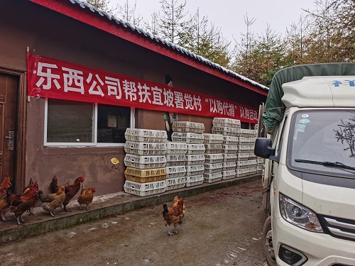 10.27 “以购代捐”助扶贫,扶贫路上有乐西.jpg 10.27 “以购代捐”助扶贫,扶贫路上有乐西.jpg