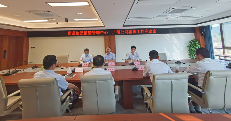 蜀道集团稽查管理中心赴广南公司调研稽查工作.jpg