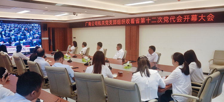 2022年5月27日,广南公司机关党支部在应急指挥中心办公楼中会议室组织支部全体党员集体收看四川省第十二次党代会开幕大会1.jpg