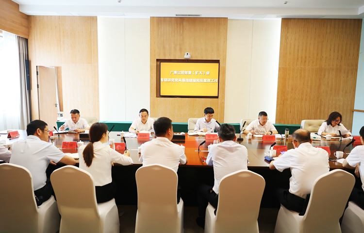 广南公司召开党委(扩大)会专题研究党风廉洁开元棋牌和反腐败工作.JPG