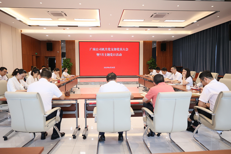 广南公司机关支部召开党员大会暨7月主题党日活动1.JPG