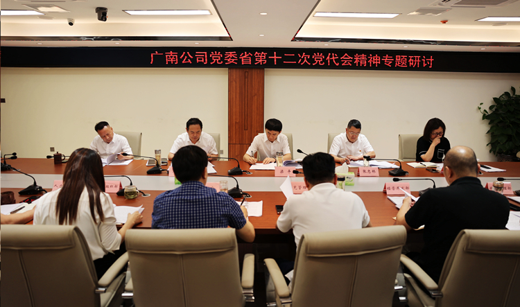 广南公司召开党委理论学习中心组第五次(扩大)学习会3.jpg
