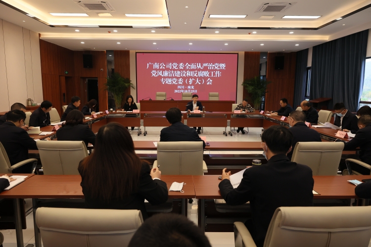 广南公司召开2022年全面从严治党暨党风廉洁开元棋牌和反腐败工作专题党委(扩大)会2.JPG