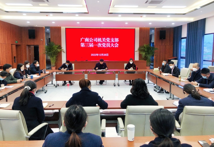 广南公司机关党支部召开第三届一次党员大会2.jpg