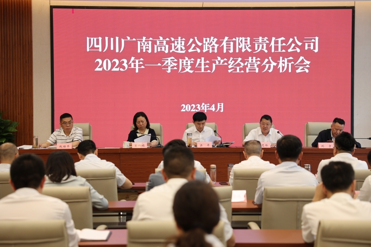 广南公司召开2023年一季度生产经营分析会1.JPG
