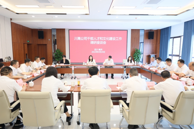 调研座谈会1.JPG