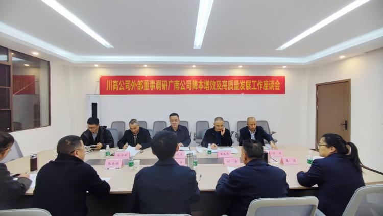 照片:川高公司外部董事一行调研广南公司降本增效及高质量发展工作.jpg