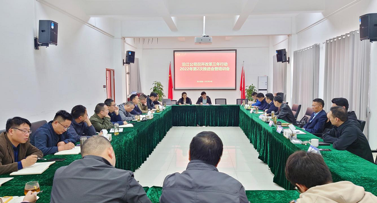 4.19沿江公司召开国企改革三年行动2022年第2次工作推进会暨培训会 - 副本.png